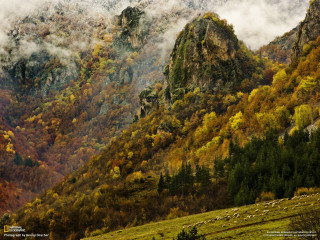 Mountain trees clouds foreground background - didier mouron free wallpaper