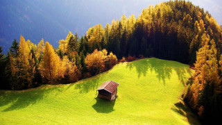Small house green hillside trees - a few yellow leaf free wallpaper