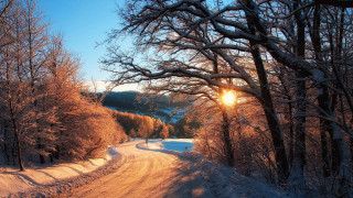 Snowy road sunlight trees winter - both side of it free wallpaper