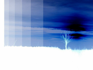 Lone tree field blue sky - thin free wallpaper