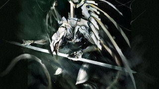 Woman sword skeleton demon ultrafine - her back free wallpaper for desktop