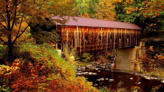 Covered bridge fall trees stream - a few leaf free wallpaper