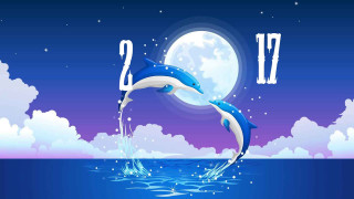 Dolphin jumping water full moon - a dolphin free wallpaper