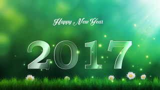 Happy new year daisies grass - daisy free wallpaper for desktop