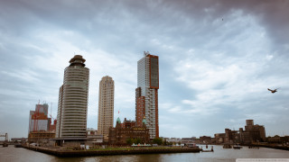 City tall buildings water bird - de stijl free wallpaper for desktop