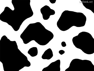 Cow pattern black spots white 3 - black spot free wallpaper