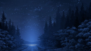 Night scene road trees stars - a night scene free wallpaper