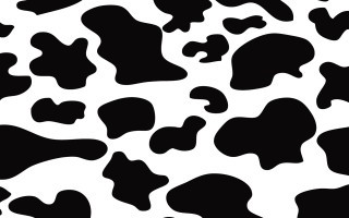 Cow pattern black white silk - texture free wallpaper for desktop