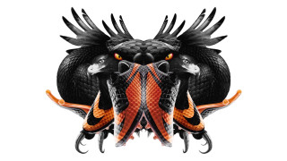 Fish wings group overlapping aquatic - a black bird free wallpaper