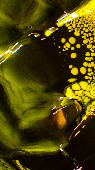 Yellow black object circles closeup - circle free wallpaper for mobile