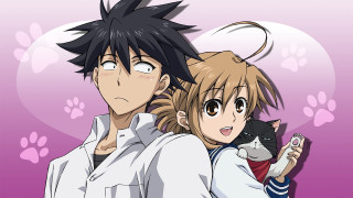 Anime couple cat shoulder image - paw free wallpaper