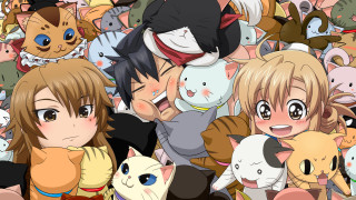 Girl cats crowd around group - all free wallpaper