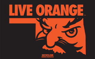 Orange black tiger face live - cleve gray free wallpaper