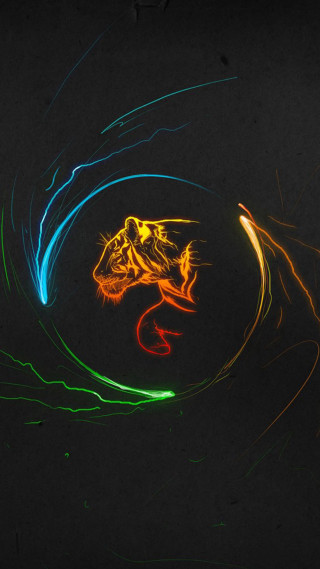Colorful lizard light streaks black - light free wallpaper for mobile