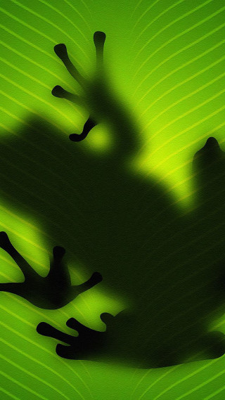 Frog shadow green leaf black - image free wallpaper for mobile