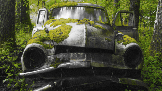Old truck moss woods trees - old free wallpaper for desktop