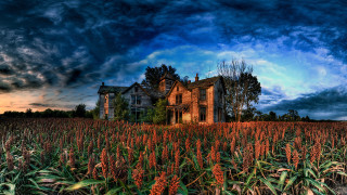 Large house cornfield cloudy sky 2 - a few cloud above free wallpaper