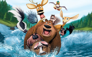 Bear animals water trees bird - the background and a bird free wallpaper