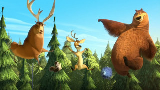 Animals forest trees bushes group - a group of animals free wallpaper