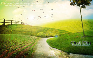 Country road birds tree quote - a tree in the distance free wallpaper
