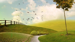 Field tree path fence birds - a painting of a field free wallpaper