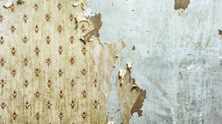Peeling flower wallpaper torn paper - a flower pattern free wallpaper for desktop