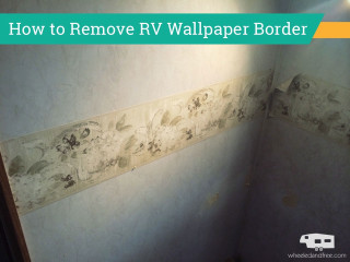 Corner room wallpaper border cat - blunt border free wallpaper