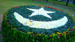 Circular flower bed star smiley - ambreen butt free wallpaper
