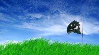 Flag flying green field blue - a flag free wallpaper