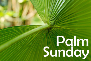 Palm leaf palm sunday green - claire dalby free wallpaper