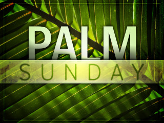 Palm leaf palm sunday green 2 - esaias boursse free wallpaper