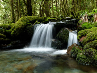 Small waterfall forest moss stream - waterfall free wallpaper for desktop