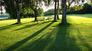 Park benches trees shade sunny - deep shadow free wallpaper