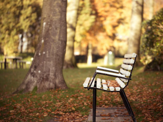 Park bench leaves trees background - a park bench free wallpaper
