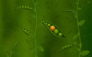Green background pea pod ball - behance hd free wallpaper for desktop