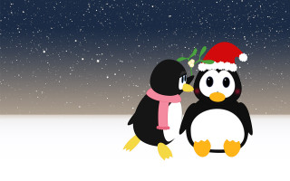 Penguin santa hat scarf snow - a penguin free wallpaper