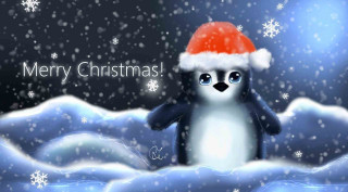 Penguin santa hat snow merry - back ground free wallpaper
