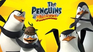 Penguins crown yellow background madagascar - a group of penguins free wallpaper