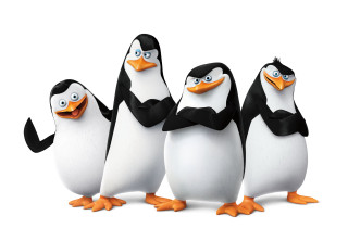 Penguins group white background middle - a group of penguins free wallpaper