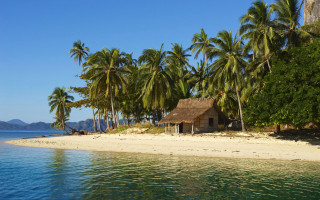 Hut beach palmtrees boat water - a hut free wallpaper