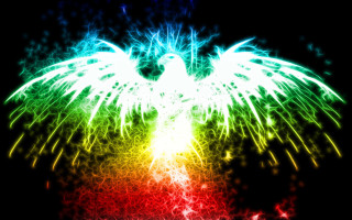 Colorful bird wings spread out - digital artwork free wallpaper