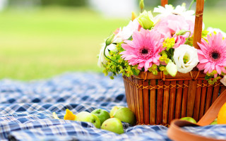 Basket flowers blanket apples pears - a blanket free wallpaper