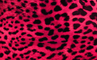 Pink black animal print fabric 3 - bert stern free wallpaper for desktop
