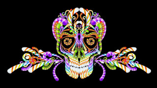 Colorful skull with a large - arm free wallpaper for desktop