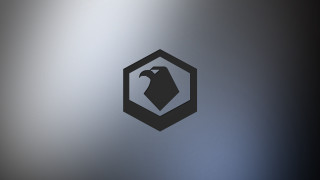 Black white bird gray background - photo of a bird free wallpaper for desktop