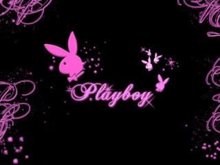 Pink playboy logo rabbits black - back ground free wallpaper