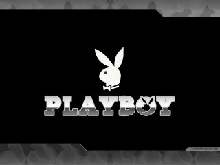 Rabbit logo playboy black white - the middle free wallpaper