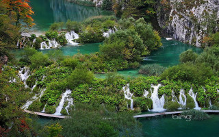 Waterfall lake bridge woods ecological - the fall free wallpaper