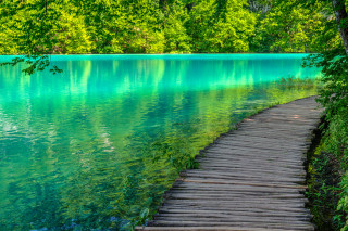 Wooden path lake trees magic - alen divi free wallpaper
