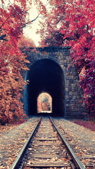 Train track tunnel trees leaves - a train track free wallpaper for mobile